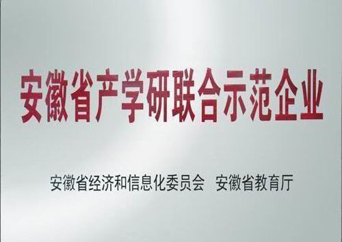 安徽省產(chǎn)學研聯(lián)合示范企業(yè)